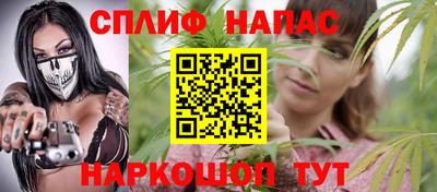 СК Краснодар