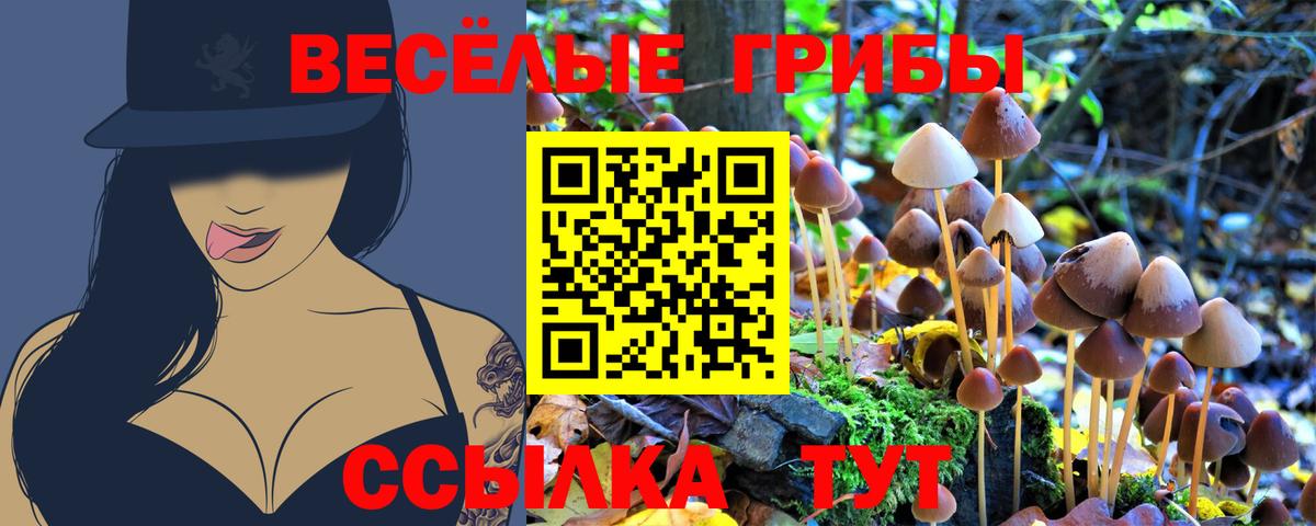 Усть-Илимск  Псилоцибиновые грибы ЛСД  Вход с VPN  Галлюциногенные грибы Psilocybine cubensis 